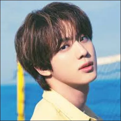 Où est né Seokjin (Jin) ?