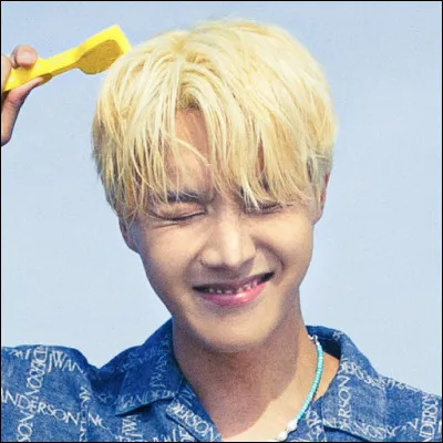 Quel est le prénom du chien de Heosok (J-Hope) ?