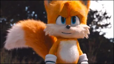 Qui est le cousin cach&eacute; de Tails ?
