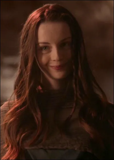 Qui a tué Mégara ?