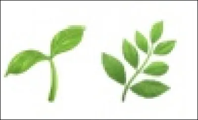 À quelle créature correspondent ces émojis ?