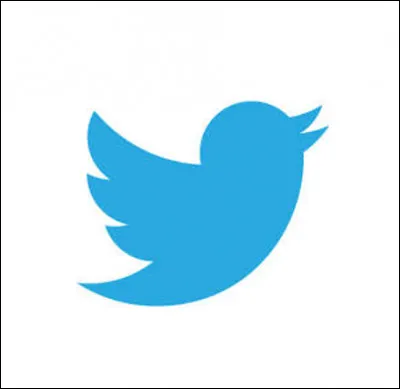 Et lui ? Ce bel oiseau est...