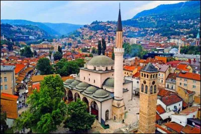 [Indépendance]  De quel pays la Bosnie-Herzégovine obtint-elle son indépendance en 1992 ?