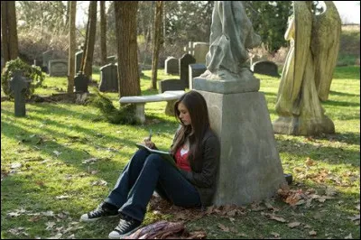 Où se sont rencontrés Elena et Stefan pour la première fois ?