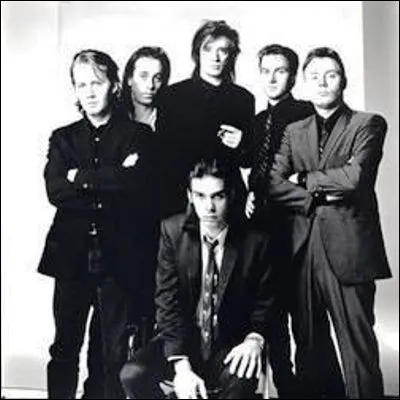 Quel chanteur de rock australien est le leader des Bad Seeds ?