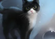 Quiz LGDC~Une image un chat (3)