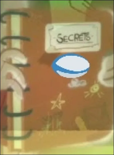 Que contient le carnet des secrets ?