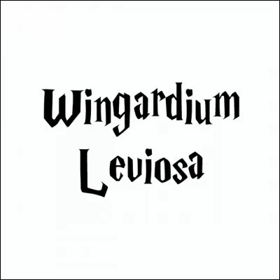 Le 1er candidat n'a pas réussi Wilgardium Leviosa, que s'est-il passé à la place ?