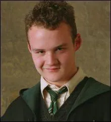 Il est l'un des amis de Malefoy.