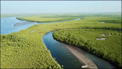 La Casamance est une région africaine qui doit son nom au fleuve qui l'arrose. Bienvenue...