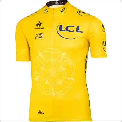 Quel coureur français s'empare du maillot jaune en 2001 ?