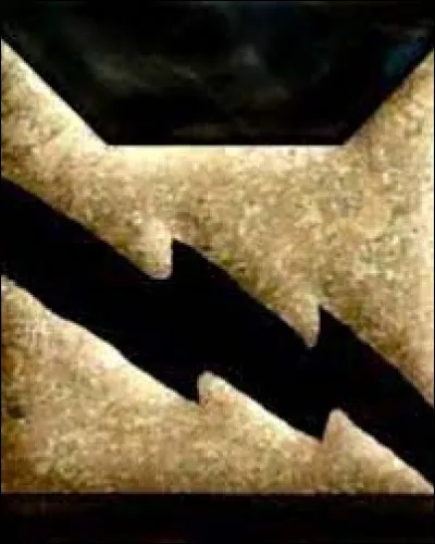 Les chats du clan du Tonnerre habitent :