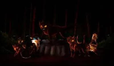 Quels chats se trouvent dans la Forêt Sombre ?