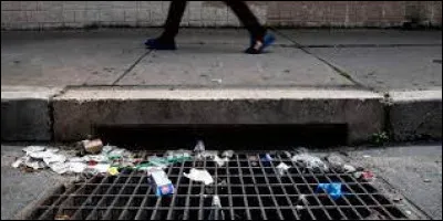 Qui a chanté "Le géant de papier" ?