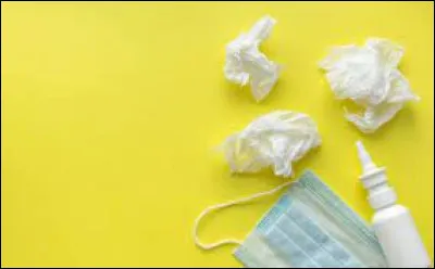 Qui a réalisé le film "Les Petits Mouchoirs" ?