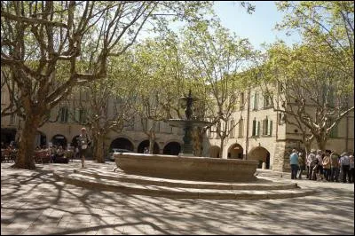Changeons de région et allons "Place aux herbes", dans cette petite ville du sud : nous sommes à ...
