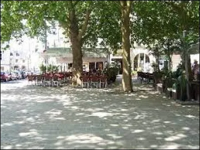 Allons maintenant sur la "Place Louis XII", au pied du château : nous sommes à ...