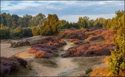 Quel pays européen comprend la province de Drenthe ?