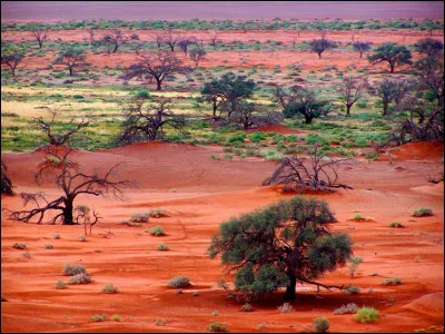 Hélas surtout connu pour les affres de la guerre et de la famine, dans quel pays africain situez-vous le Darfour ?