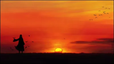 Et sur cette image, que voit-on ?