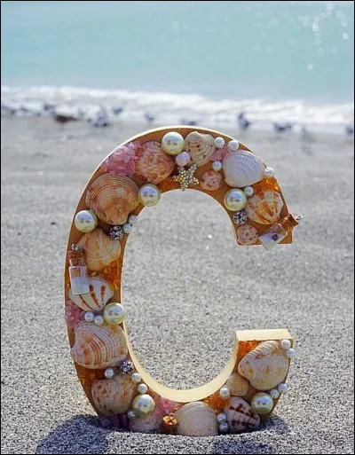 Avant il avait un copain qui était aussi son...