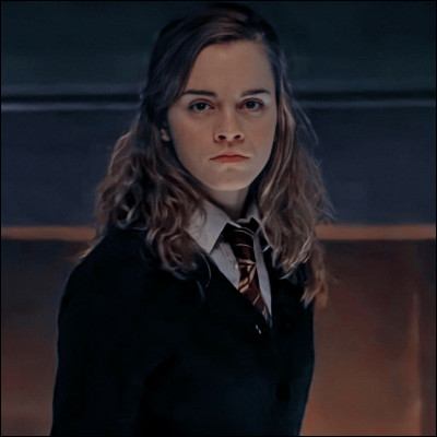 Combien de fois Hermione tourne-t-elle le Retourneur de Temps ? (Tome 3)