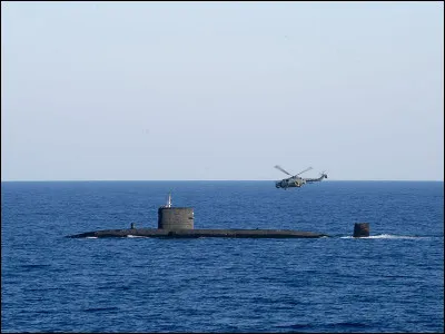 Bonne patte, c'est le...