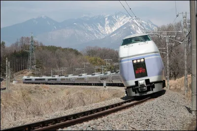 Certains trains à haute vitesse peuvent incliner leurs caisses dans les virages grâce à des vérins, permettant de gagner de la vitesse sur des parcours sinueux. Comment s'appellent les trains pourvus de ce système ?