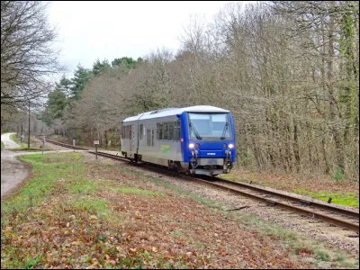 Quand vous irez dans un musée ferroviaire ou faire un tour en train touristique, peut-être entendrez-vous parler de "chemin de fer à voie métrique". Mais qu'est-ce donc qu'une voie métrique ?