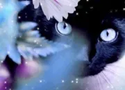 Quiz Les chats