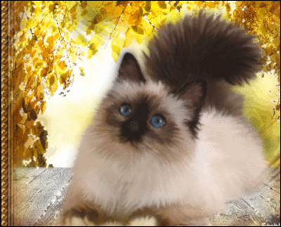 Doivent-ils boire du lait de vache ?