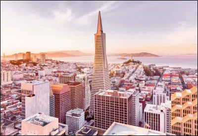 Qui chantait "Oui quand j'ai vu San Fransisco, ma ville est morte dans mon dos" ?