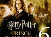Quiz Le quiz de Harry Potter et le prince de sang ml