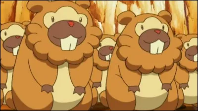 Et quel est ce Pokémon Castor que personne ne met dans son équipe ?