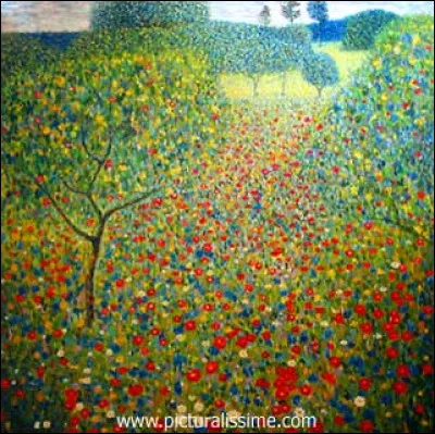 À qui appartient ce champ de coquelicots ?