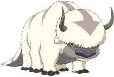 Par qui Appa s'est-il fait enlever ?