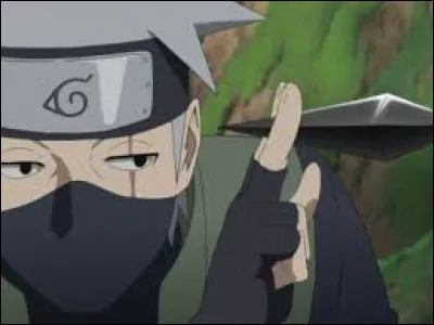 Quelles natures chakras maîtrise-t-il ?