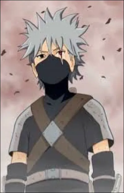 Quel est son poids ?