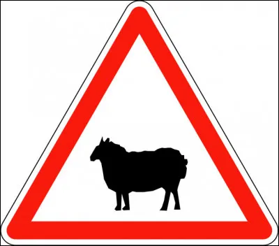 On l'a vu..."dans le Vercors, sauter à l'élastique" !