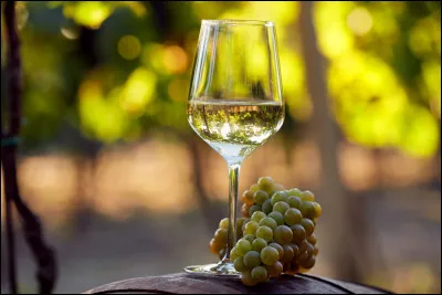 Quelle est la principale variété de cépage pour vin blancs, beaucoup produite et très appréciée en Valais