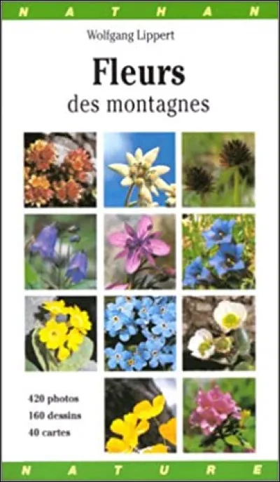 Tro comme Trolle : de quelle couleur sont les trolles d'Europe ?