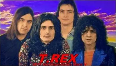 D'abord nommé Tyrannosaurus Rex, le groupe de rock britannique "T. Rex" mené par Marc Bolan se hisse en tête des ventes au Royaume-Uni. Formé en 1967, il est dissous en 1977 à la mort du leader. Il n'a pas chanté :