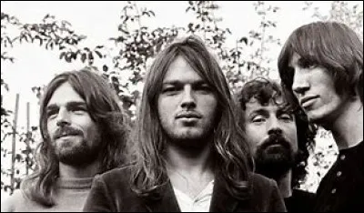 Malgré leurs nombreuses formations depuis 1965, David Gilmour a formé le solide groupe de rock qu'est "Pink Floyd". Parmi tous ces titres, il n'a cependant pas chanté :