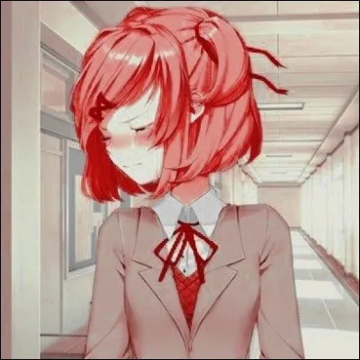 Quelle couleur préfères-tu ?