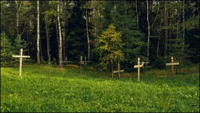 Tu aimerais te réincarner en...