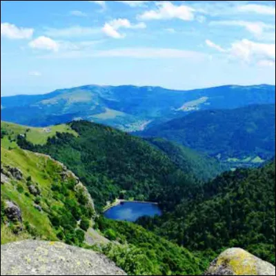 Quel produit du terroir sucr&eacute; poss&egrave;de des appellations dans plusieurs r&eacute;gions de France, dont la Corse et les Vosges ?