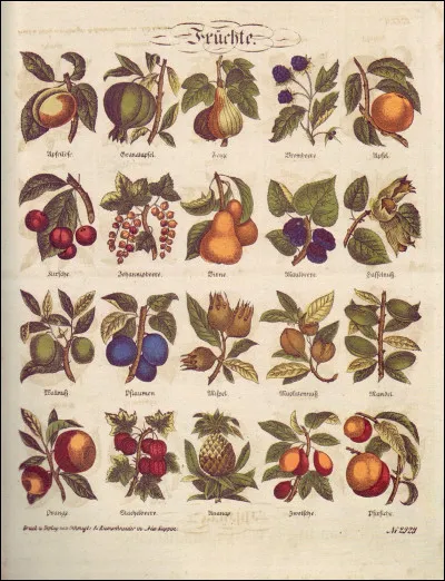 À quelle famille les pommiers appartiennent-ils ?