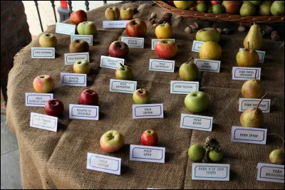 Combien de variétés de pommes sont cultivés à travers le monde ?