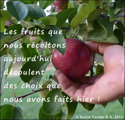 Les pommes sont originaires de...