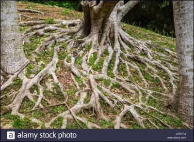 Qui est né le 12 décembre 1639 à la Ferté-Milon ?